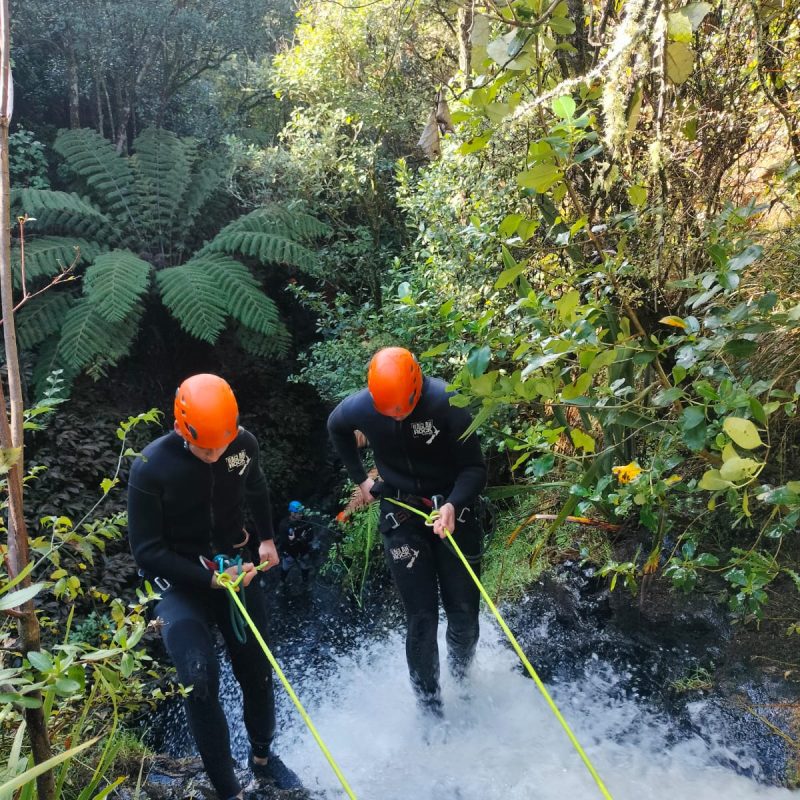 school camps Waikato