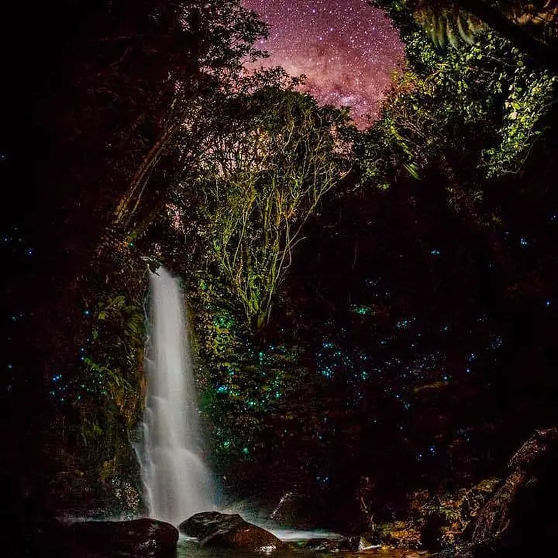 Waterfall lit by glowworms under the Milky Way on Mount Karioi