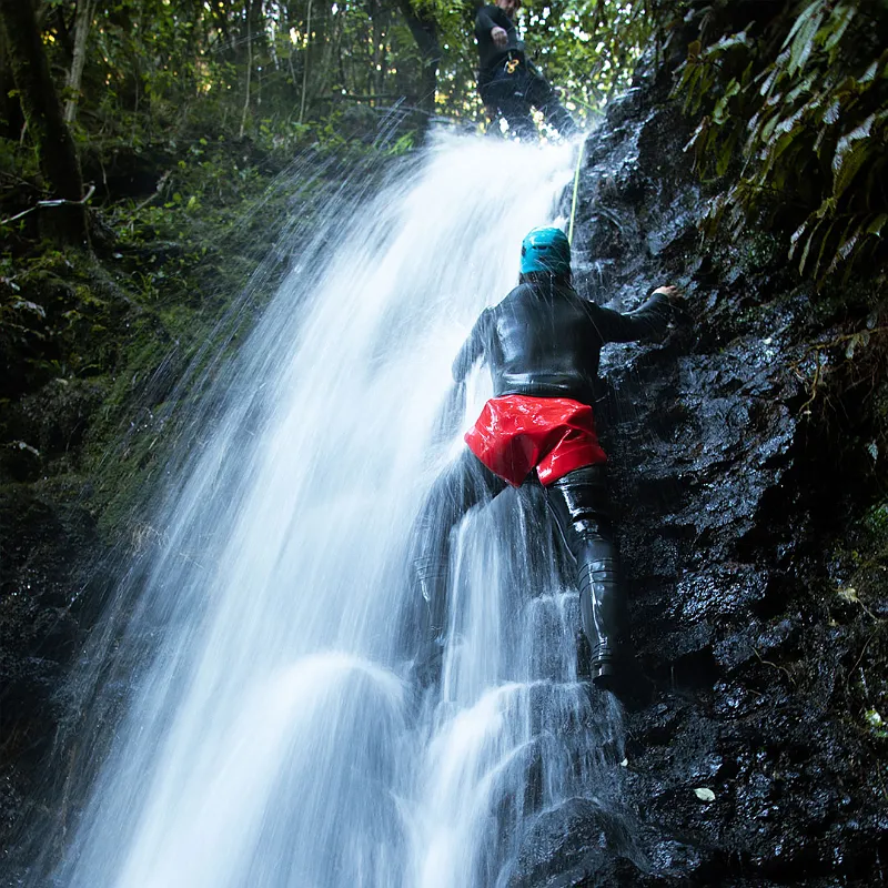 Canyoner abseiling down a waterfall in native bush on Mount Karioi