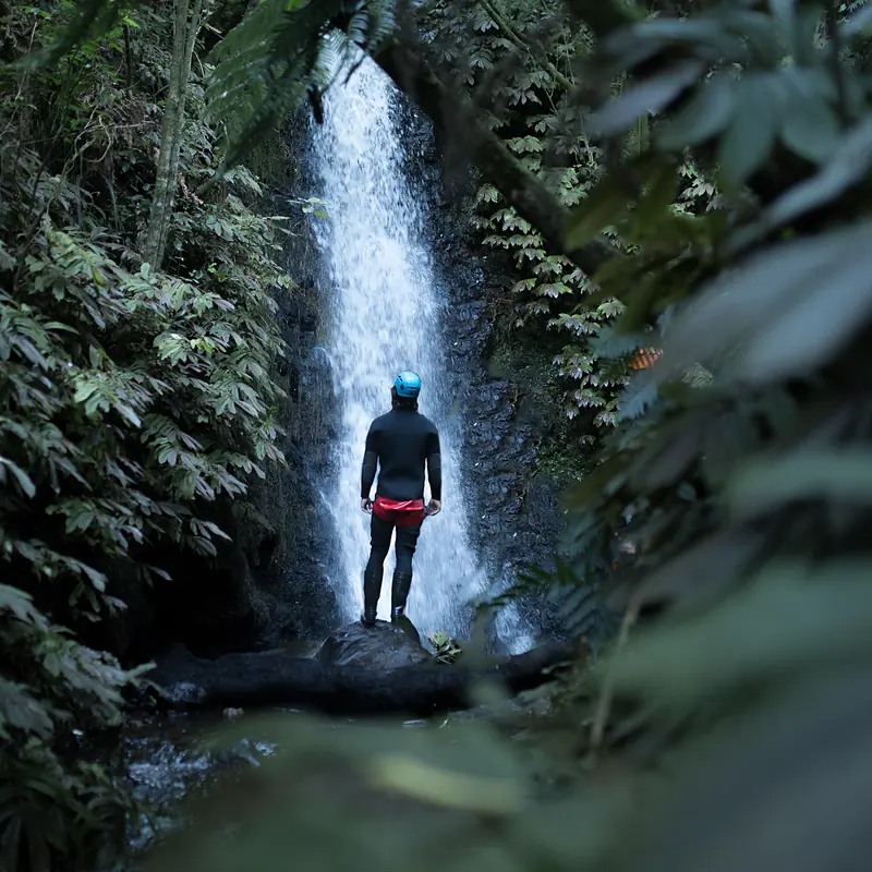 Canyoner standing beneath a waterfall in native bush on Mount Karioi